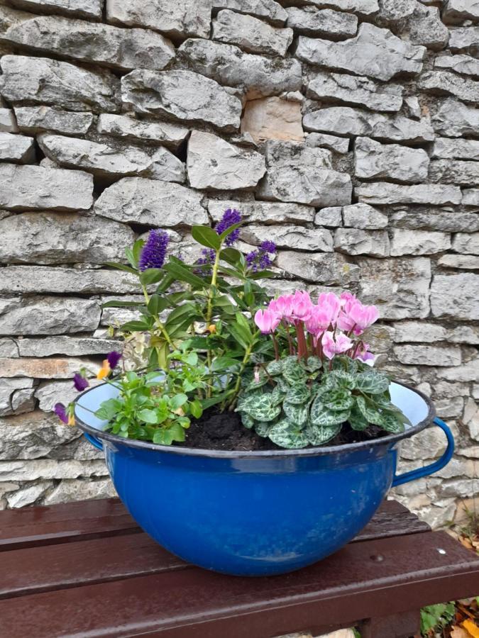 Authentic Istria&Pet Friendly Apartment Banko Near Rovinj カンファナル エクステリア 写真