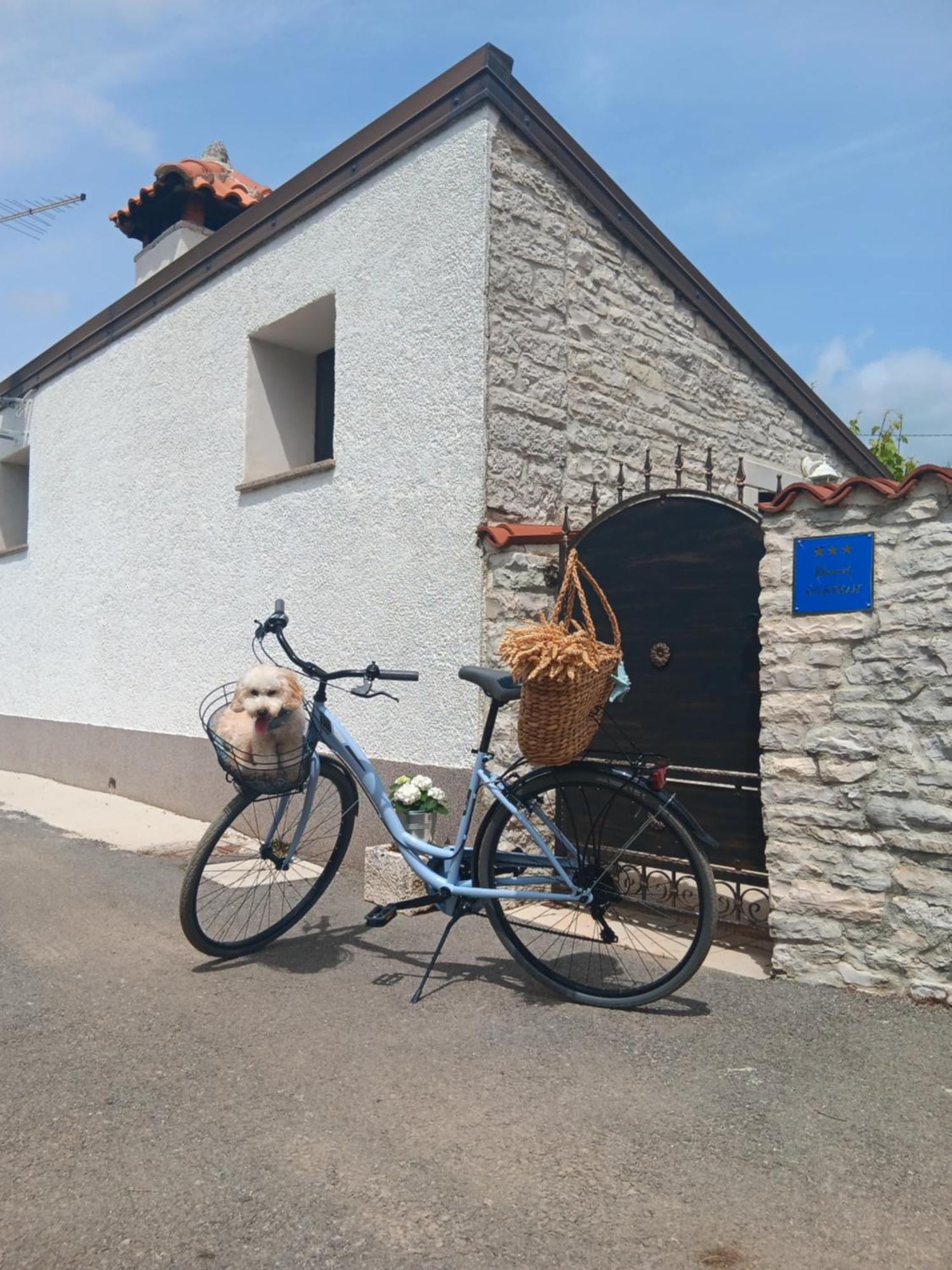 Authentic Istria&Pet Friendly Apartment Banko Near Rovinj カンファナル エクステリア 写真